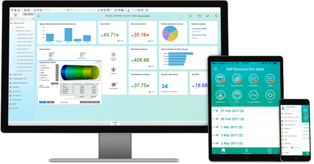 imagem ERP SAP Business One